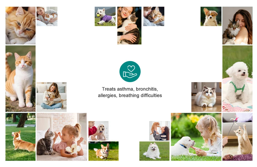 Cat Aerosol Chamber Pet Dog Portable Inhaler Spacer With Breathing Indicator Silicone Mask For Veterinary Equipment Vet Clinic