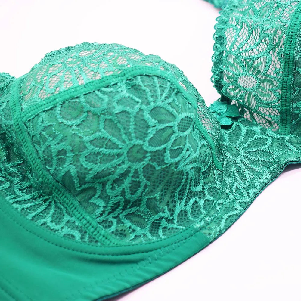 Plus Size Bras For Womens Lace Sexy Bra Perspective Underwire Female Lingerie BH Tops C D DD E F Cup