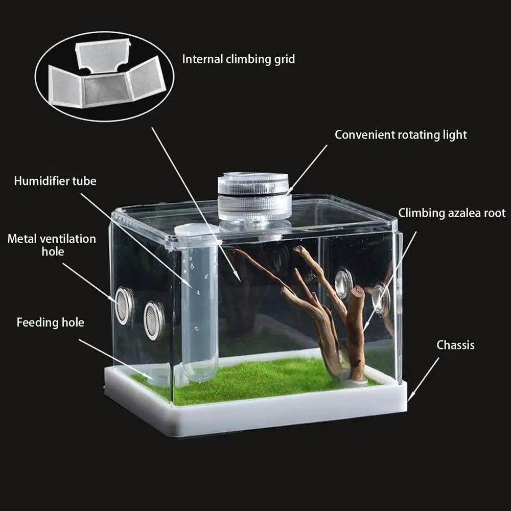 Reptile Hatching Box Reptile Terrariums Enclosure Accessories Amphibian Supplies Feeding Spider Cage Feeding Container For
