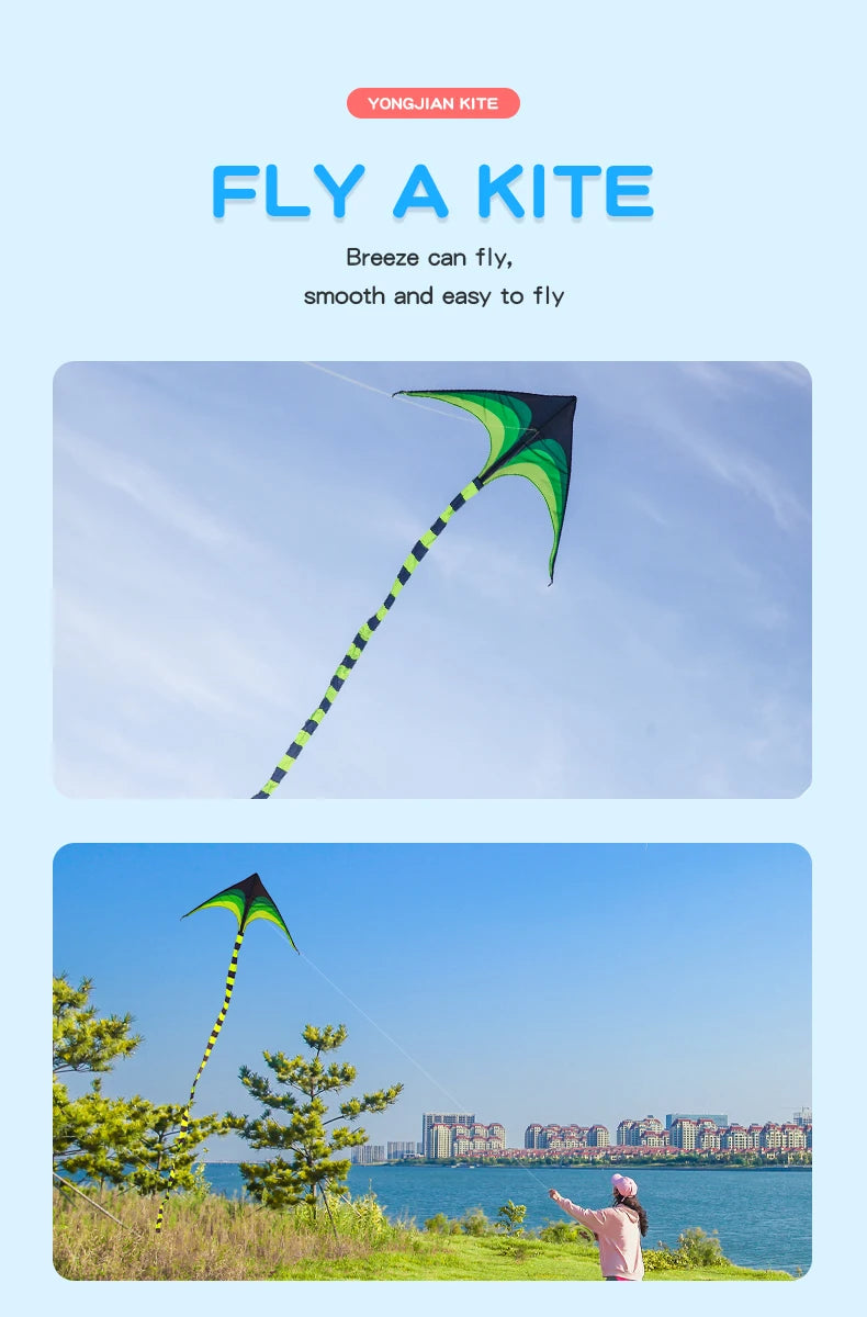 Adult-sized large delta-wing kite. Easy to fly. Extra-large delta-wing kite, equipped with a 6-meter long tail.