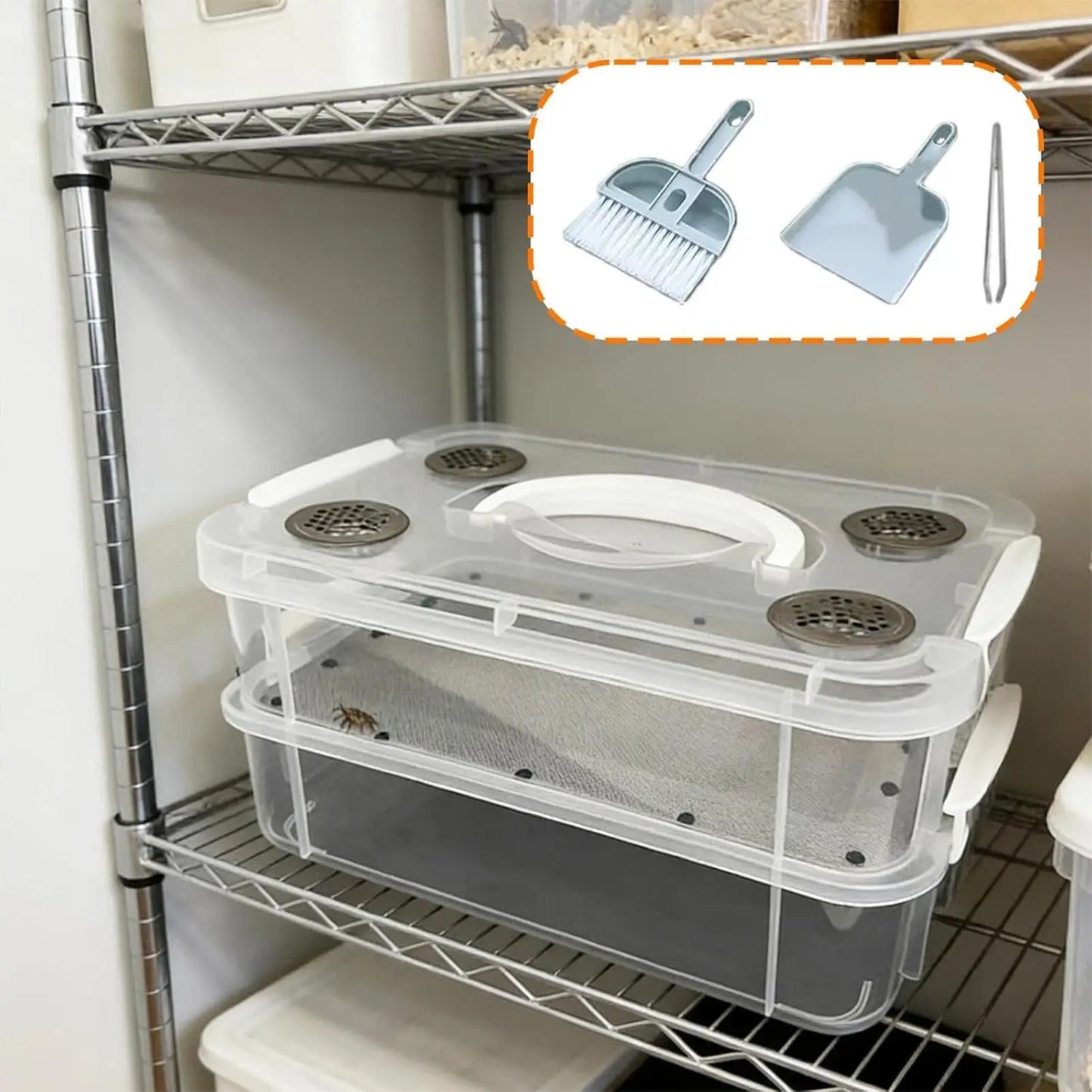High Capacity Mealworm Farm Transparent Mealworm Breeding Kit To Breed Live Mealworms For Bearded Dragon And Reptiles Portable