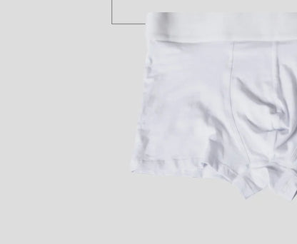 Men Underwear Boxer Cotton Floor Price Mens Underpants Comfortable Underwear Male Panties Breathable U Pouch Men Shorts