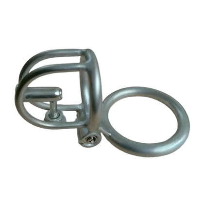 Steel Prince Albert Chastity Cage Male Urethral BDSM Bondage Unique Design Metal Cock Cage Men Cbt Lock Chastity Device
