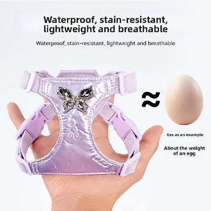 Butterfly Decor & Matching Leash Dog Harness for Small Dogs - Escape Proof Lightweight Vest