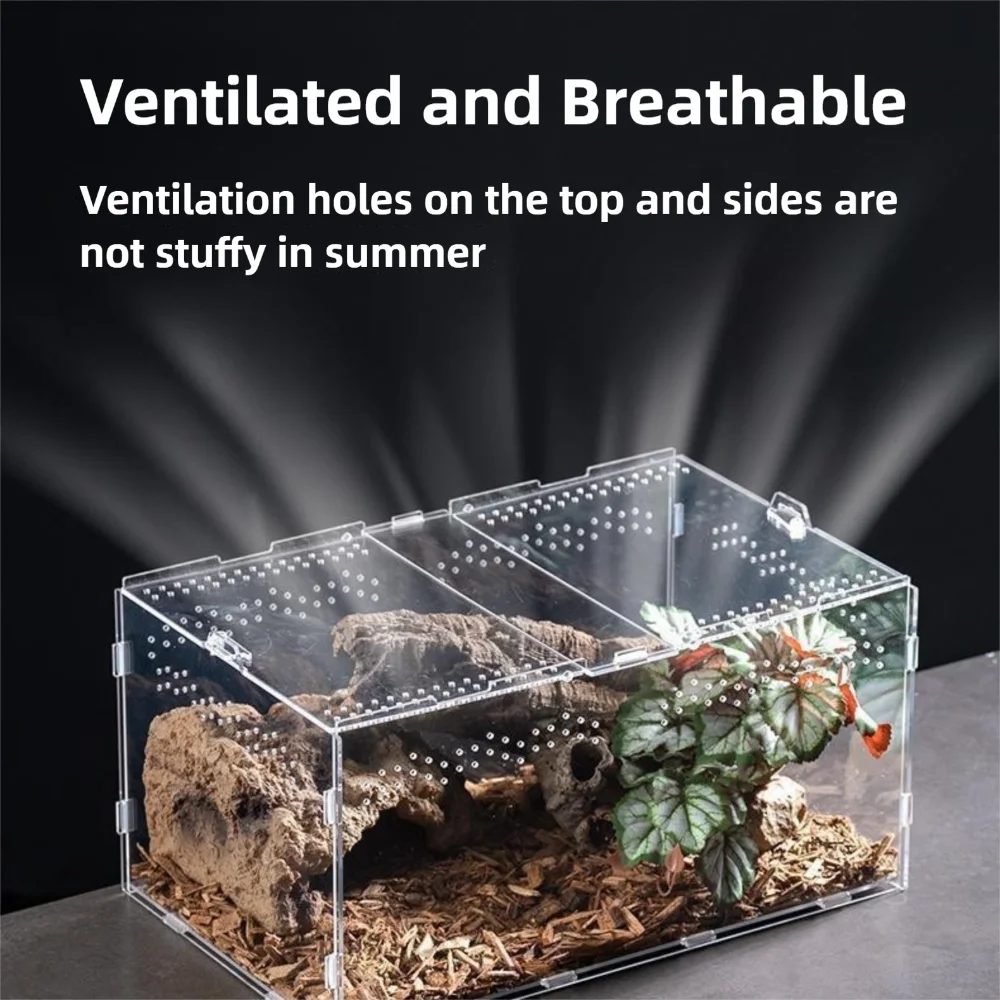 Durable Acrylic Reptile Habitat Anti-Escape Multiple Size Spider Feeding Case Clear Arboreal Lizard Breeding Box for Chameleon