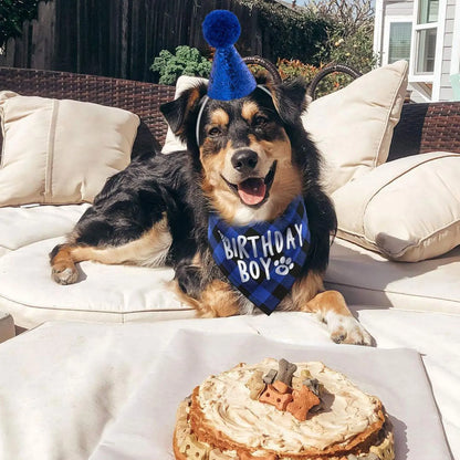 4pcs Dog Birthday Party Supplies, Birthday Boy Dog Bandana, Dog Birthday Hat with Numbers for Medium Large Dogs Pets