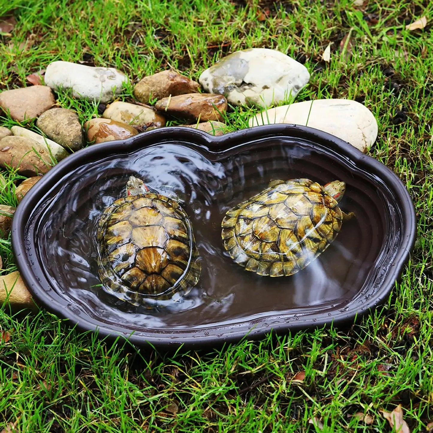 Reptile Bathing Pool Amphibians Accessories Large With Ramp Reptile Water Bowl For Tortoise Turtle Hamster Scorpion Leopard Pet