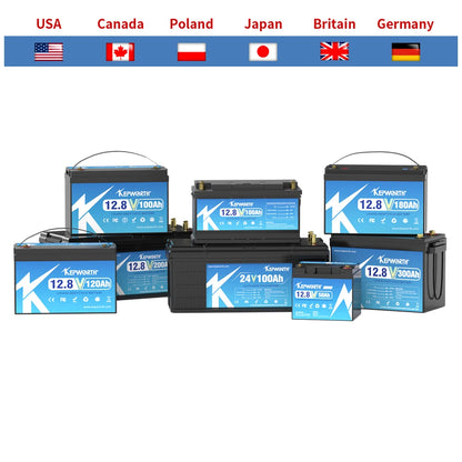 12V/24V LiFePO4 Battery with BMS - 30/50/100/120/135/300Ah for Golf Cart, Solar, RV, EV - Long Lifespan