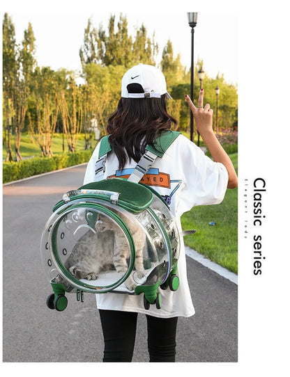 Pet Luggage, Transparent Space Capsule, Multi-purpose Backpack, Cat Bag, Large Capacity, Two Portable Small Dogs, Outdoor Bag
