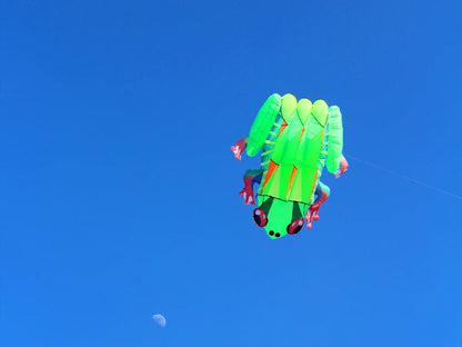 Frog kite cometas profesionales kite flying cerf volant gonflable outdoor games aquilone acrobatico vlieger haspel parplan pipa