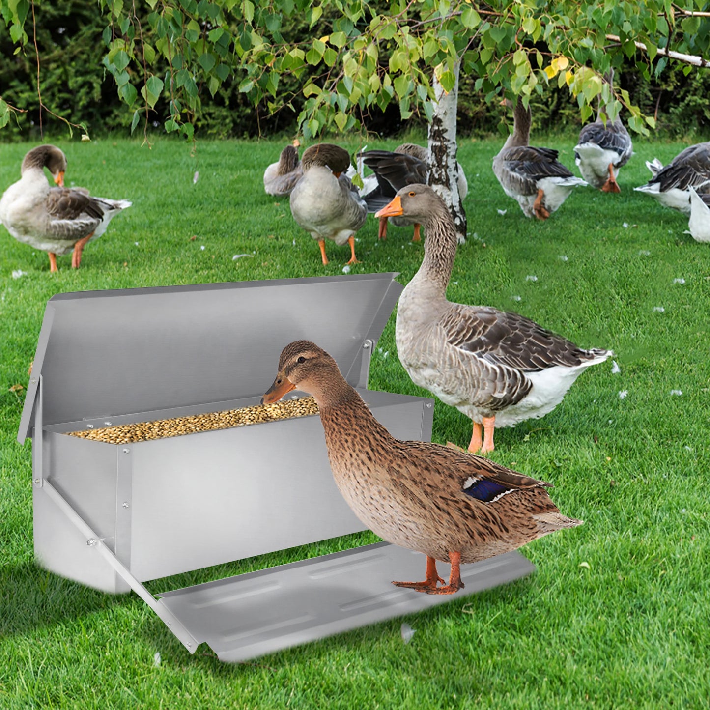 10kg Pedal‑Operated Automatic Chicken Feeder Galvanized Steel Rain‑Resistant Poultry Feeder Prevent Rodents Wild Birds Stealing Feed For Backyard Farm