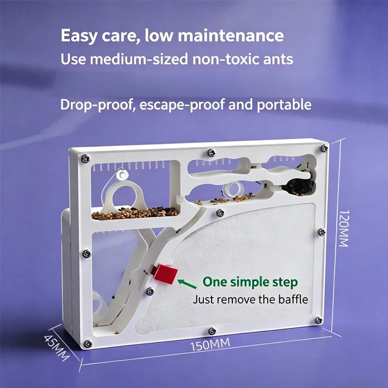 Acrylic DIY Large Ant Farm with Feeding Area Big Ants House Ant Nest Villa Insect Habitat Pet Anthill Ecological Workshop