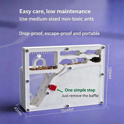 Acrylic DIY Large Ant Farm with Feeding Area Big Ants House Ant Nest Villa Insect Habitat Pet Anthill Ecological Workshop
