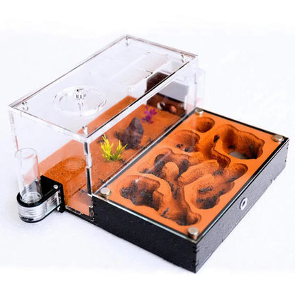 Concrete Ant Farm House Super Large Yellow Mud Ant Nest Gypsum Pet Anthill Insect Castle M Workshop Ant House with Hunting Area
