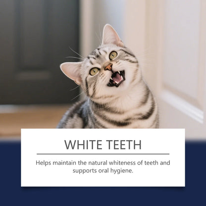 Pet Teeth Cleaning Pen Plant‑Based Mild Reduce Tartar Stain Fresh Breath Portable Oral Care for Dogs Cats Daily Dental Cleaner