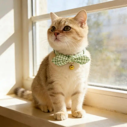 G92C Comfortable Heart Pet Collar Stylish For Comfortable Wear Stylish Flower