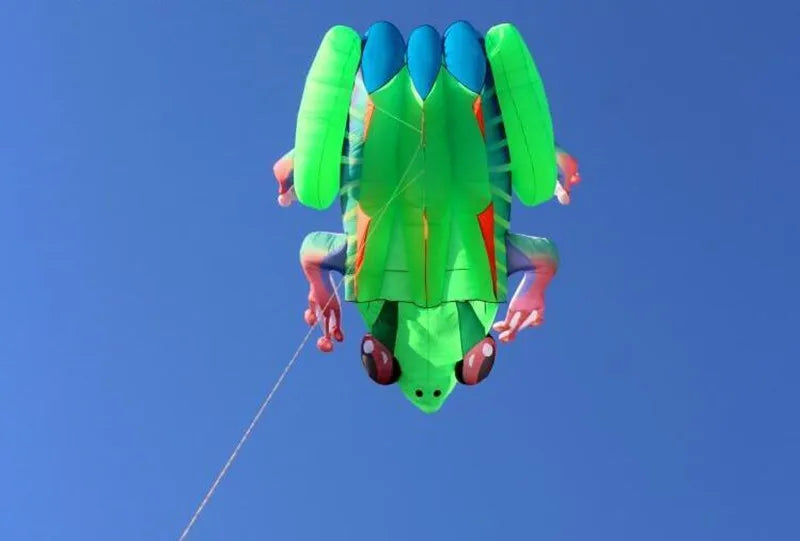 Frog kite cometas profesionales kite flying cerf volant gonflable outdoor games aquilone acrobatico vlieger haspel parplan pipa