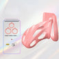 New Sissy Simulation Vagina Chastity Cock Cage Sex Toy with 4 Size Cock Ring Bdsm Penis Urethral Lock Adult Toy for Men