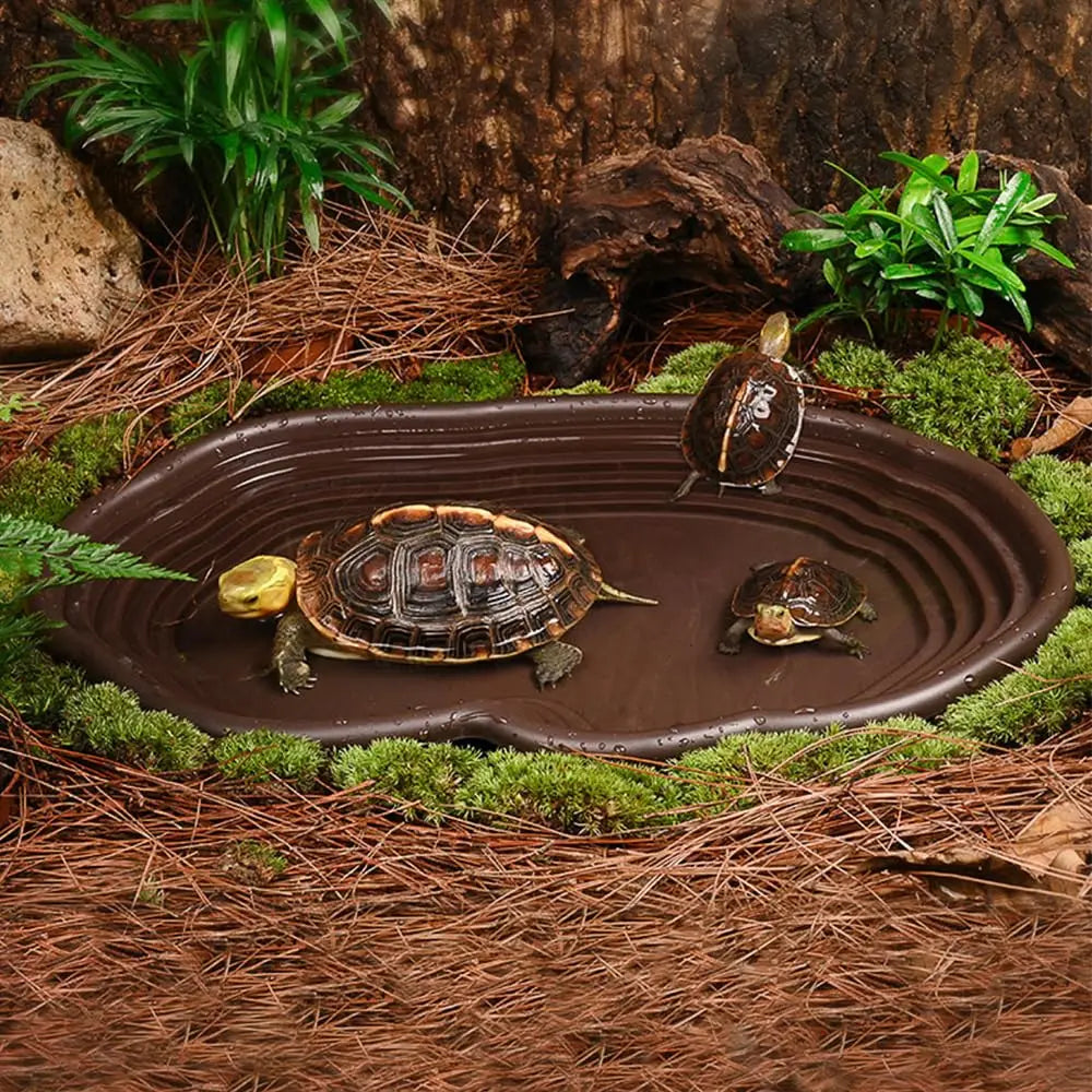 Reptile Bathing Dish Amphibians Habitat Reptile Tortoise Feeder  Water Food Bowl Feeding Dish for Bearded Dragons Turtle