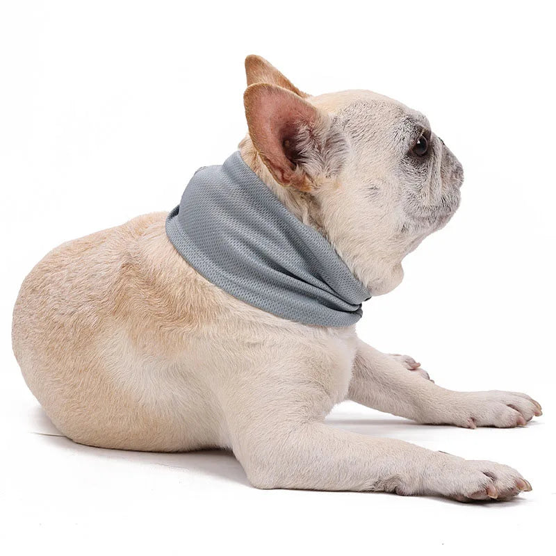 Breathable Cooling Dog Bandana Scarf for Pet Small Dogs Bulldog Summer Polyester Sunstroke Cooling Neck Wrap Dog Collar Perro