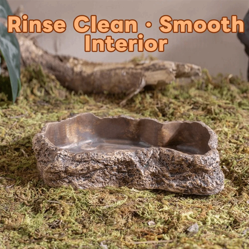 Anti-slip Climbing Pet Food Bowl Easy Clean Realistic Stone Reptile Drinking Water Feeding Tray Safe Durable Reptile Food Bowl