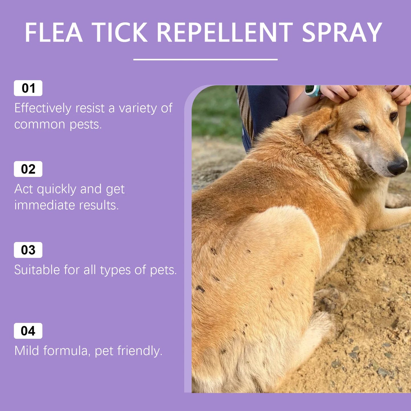 Pet Flea Spray Spray Effectively Removing Fleas Ticks Relieve Skin Itching Natural Ingredients Non Irritating Pet Flea Repellent