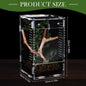 Acrylic Transparent Reptile Terrarium Breeding Box amphibian Cage Nano Arboreal Tarantula Enclosure Jumping spider Reptiles Habi