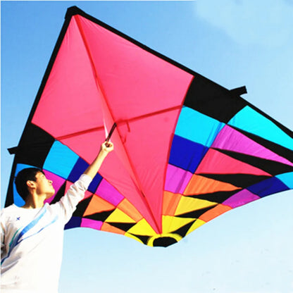 Free shipping large delta kites professional for adults kites flying toys sport kites windsurfing show kites fried flight kites