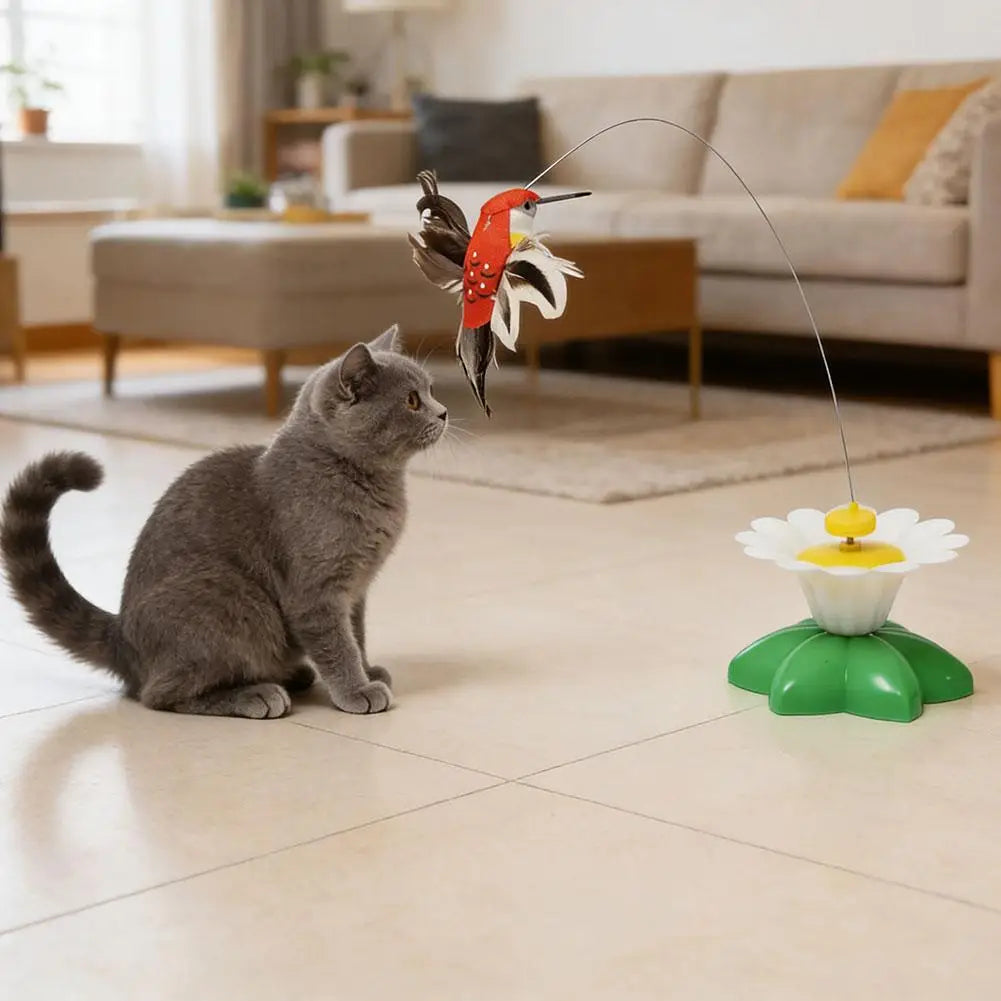 Interactive Cat Teaser Wand Toy - Automatic Rotating Electric Flying Butterfly Hummingbird, Indoor Kitten Exercise Play Toys