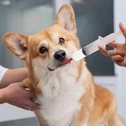 Lamb Feeding Syringe with 2 Red Tube 60ml Reusable Drench Goat Syringe for Lamb Dog Sheep Piglet Rabbit Feeding