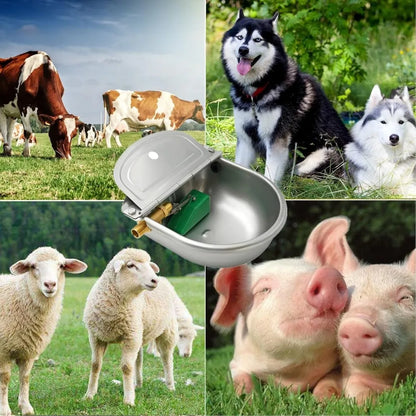 Silver Stainless Steel Automatic Livestock Water Bowl with Brass Float Valve, Durable Water Level Control Drinking Bowl for Horses, Cattle, Sheep, Goats, Alpacas, and Dogs in Farm and Stable Use
