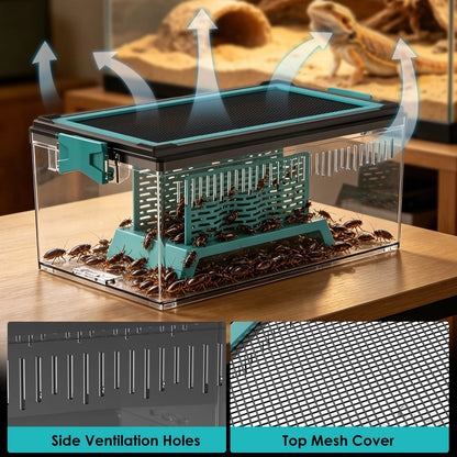 Live Feed Box Set for Bearded Dragons and Chameleons, Suitable for Raising Dubia Roaches and as a Small Reptile Enclosure