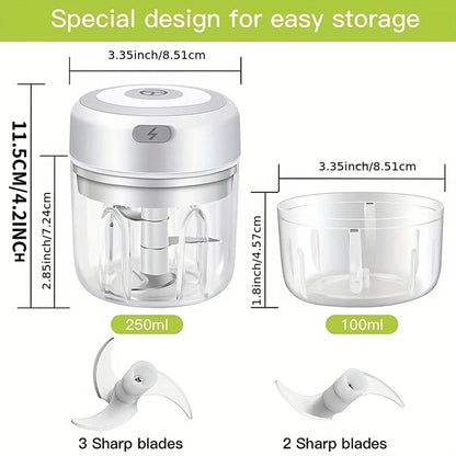 100ml/250ml Electric Mini Garlic Press Chopper - Rechargeable USB Masher with Powerful Lithium Battery, Easy Meat Grinder