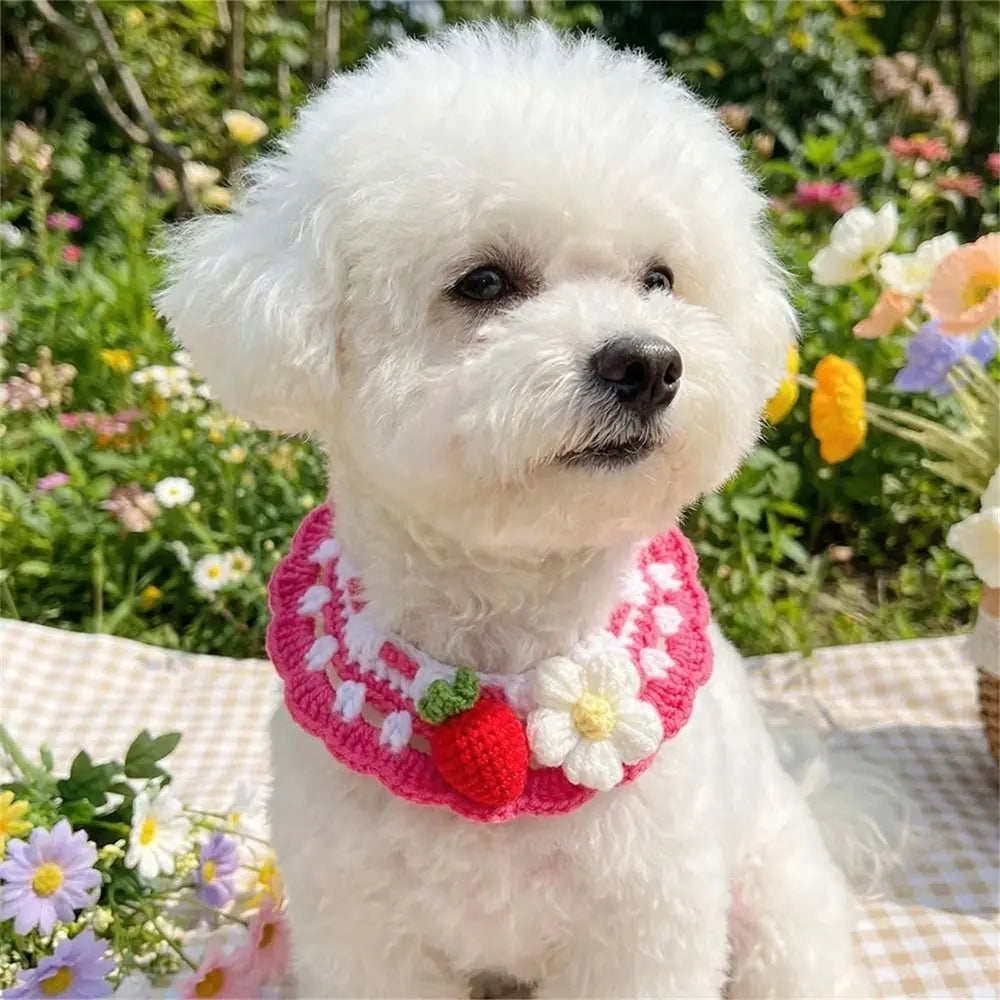 Stylish Adjustable Flower Pet Scarf Bib Sweet Decorative Knitted Cat Scarf Cozy Handmade Cat Woven Bib Spring Collection
