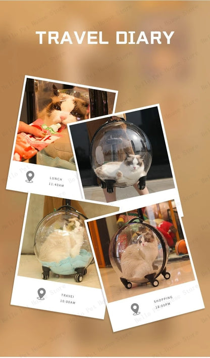 Portable Cat Bag for Going Out Large Capacity Transparent Breathable Pet Trolley Case Cat Travel Bag Pet Supplies Cat nest