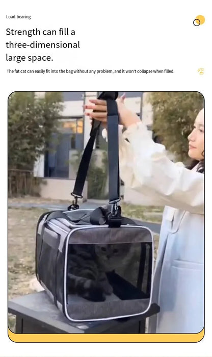 Large Capacity Mesh Breathable Pet Bag Outdoor Portable Cat Backpack Breathable Mesh Pet Travel Carrier Cats Daily Outdoor Use