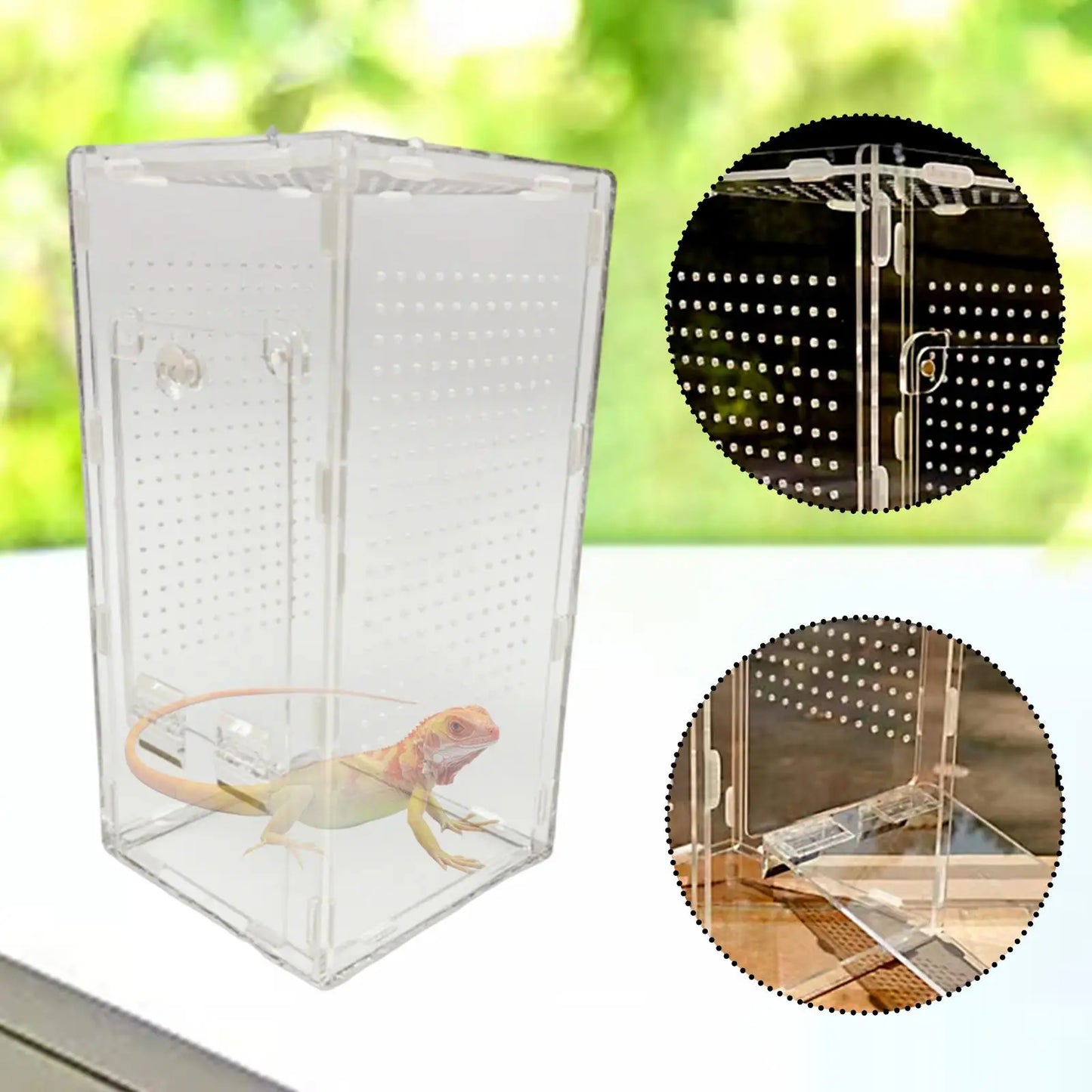 Acrylic Mantises Terrarium Clear Reptile Cage Vertical Habitat Container for Spiders and Pets