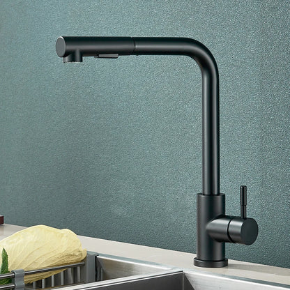Rozin Flexible Gourmet Kitchen Faucet Black Pull Out 2 Ways Nozzle Faucets 360° Rotation Hot Cold Water Sink Mixer Tap SUS304