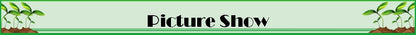 20/50 PCS Garden Micro Watering Sprinklers 360 Degrees Rotating Nozzle Mini Spraying 4/7mm Hose for Flower Garden Greenhouse