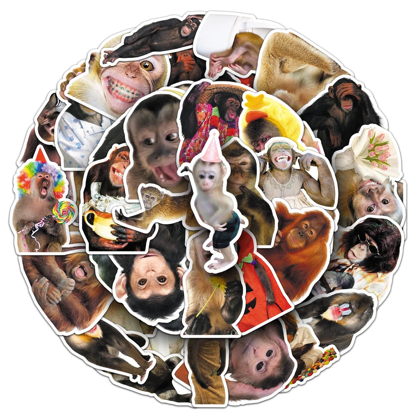 50Pcs Crazy Funny Monkey & Orangutan Doodle Stickers Waterproof Decals for Stationery Notebook Helmet Motorcycle Suitcase Fridge