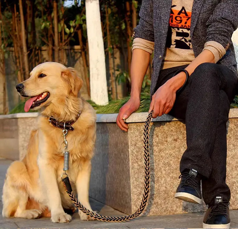 Heavy and Duty Large Dog Leash Genuine Leather Braided Dog Training Leash for Shepherd Medium Large Dogs Pet Supplies