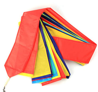 Giant kites tails flying toys for adults kites windsocks kites factory beach accessories toy ripstop fabric wind kites pipa