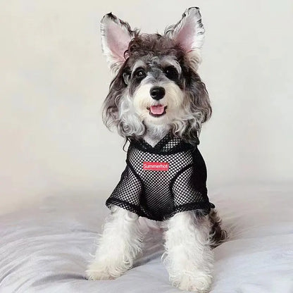 Summer Hot All Season Mesh Dog Hoodie Breathable Lightweight Pet Pullover Sweater For Small Medium Dog Clothing Chihuahua