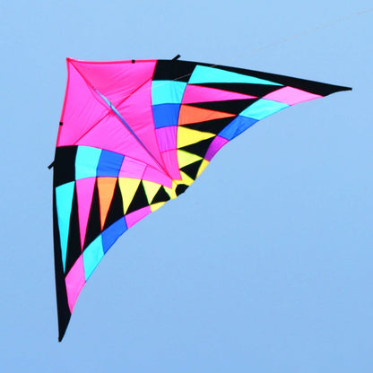 Free shipping large delta kites professional for adults kites flying toys sport kites windsurfing show kites fried flight kites