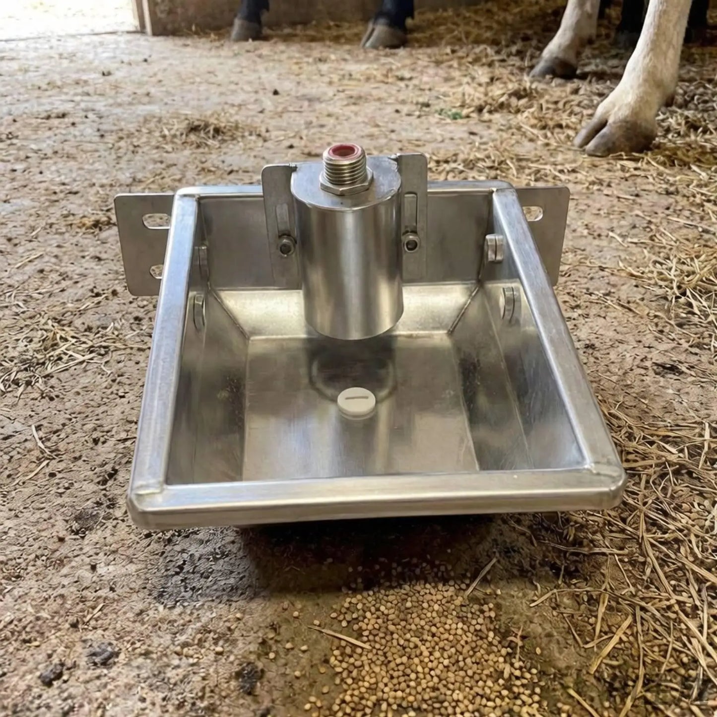 Livestock Drinking Vessel Large Capacity Stainless Steel Water Trough Automatic Refill Bowl for Sheep Goats Cattle Horse Barn