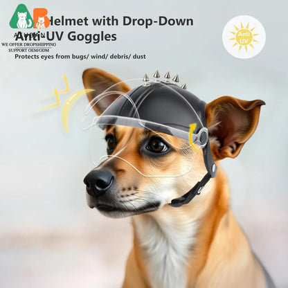 ATUBAN Dog Helmets for Small Dogs, Dog Helmet with Clear Lens Goggles, Doggie Helmets Hat with Ear Holes,Bike Doggie Helmet Dogs