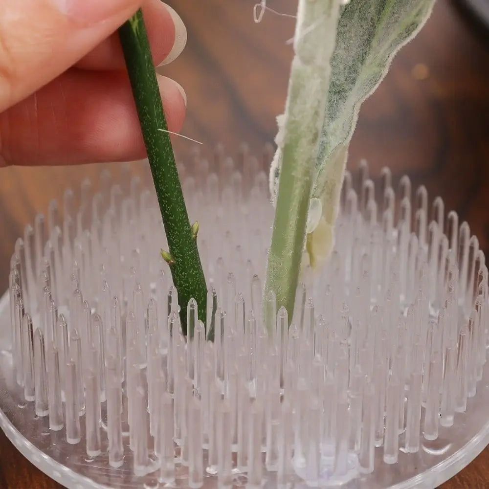 1/3Pcs Transparent Ikebana Stem Holder Waterproof Circular Arrangement Base DIY Flower Fixing Bracket for Vases Floral Design