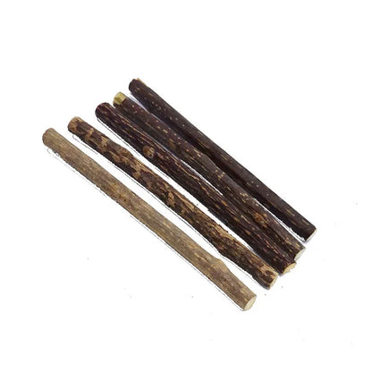 Silvervine Sticks for Cats, 10PCS Kitten Toys Catnip Toys Kitty Chew Toys Wooden Stick Kitten Teething Toys Suitable for Cats