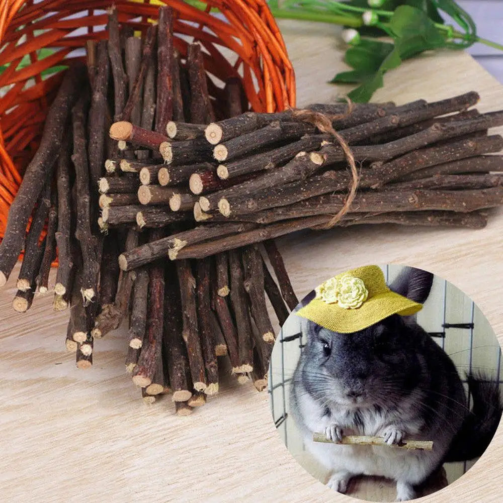 100% Natural Apple Branch Rabbit Chew Sticks Small Pet Chinchillas Netherlands Pig Hamster Bite Molars Clean Teeth Wooden Toys