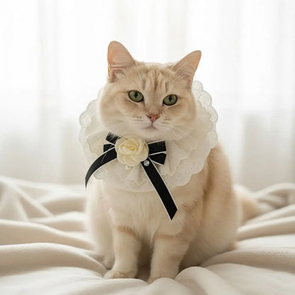 Elegant Design Pearl Pet Collar Princess Style Lace Collar Bowtie Silk Material Headgear Pet Bow Accessories Special Occasions
